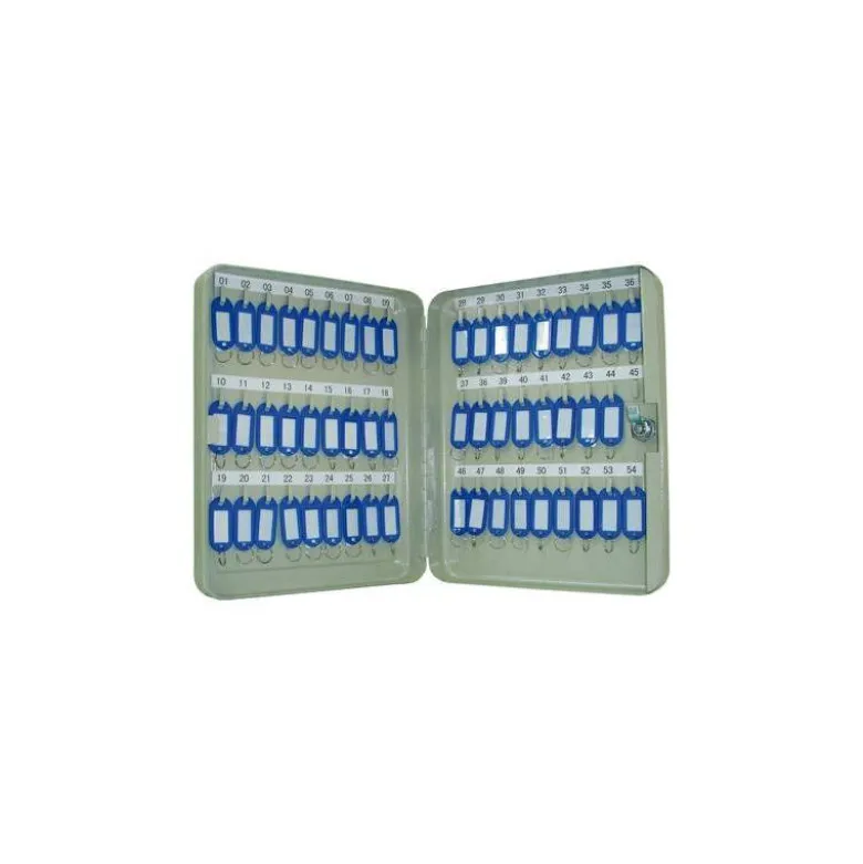 Armario metalico portallaves q-connect 300x240x60 mm 54 llaves