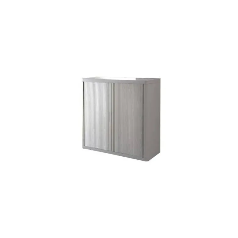 Armario Paperflow color Gris 2 Puertas