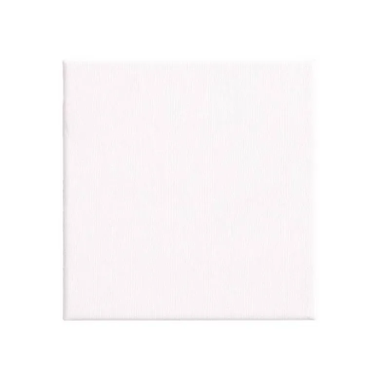 BASTIDOR LIDERPAPEL 1F LIENZO GRAPADO PARTE TRASERA ALGODON 100% BORDES MADERA 15X15 CM GRAMAJE 280G/M2 CERTIFICADO