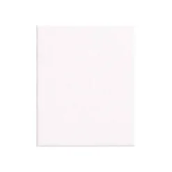 BASTIDOR LIDERPAPEL 0P LIENZO GRAPADO PARTE TRASERA ALGODON 100% BORDES MADERA 10X15 CM GRAMAJE 280G/M2 CERTIFICADO