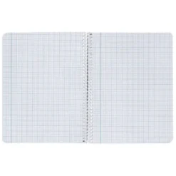 Bloc Liderpapel cuarto witty milimetrado 2 mm 80 hojas tapa dura 75 gr color “no se puede elegir”