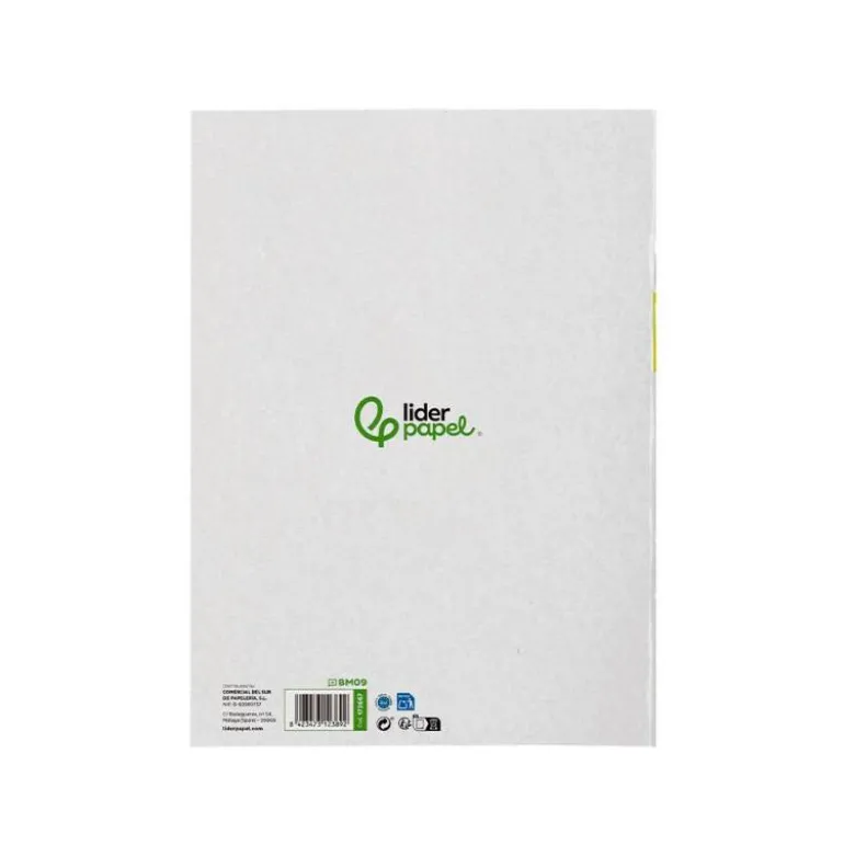 BLOC MUSICA Y CANTO LIDERPAPEL PENTAGRAMA INTERLINEADO 2 MM CUADRICULA 5MM DIN A4 24 HOJAS 100G/M2