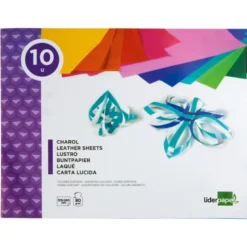Bloc trabajos manuales liderpapel charol 240x315mm 10hojas colores surtidos 
