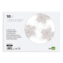 BLOC TRABAJOS MANUALES LIDERPAPEL CARTULINA 240X315MM 10 HOJAS COLOR BLANCO