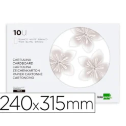 BLOC TRABAJOS MANUALES LIDERPAPEL CARTULINA 240X315MM 10 HOJAS COLOR BLANCO
