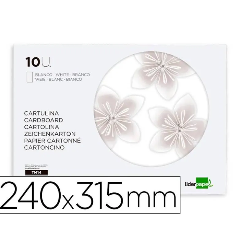 BLOC TRABAJOS MANUALES LIDERPAPEL CARTULINA 240X315MM 10 HOJAS COLOR BLANCO