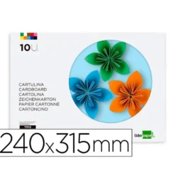 BLOC TRABAJOS MANUALES LIDERPAPEL CARTULINA 240X315MM 10 HOJAS 5 COLORES NEON + 5 COLORES INTENSOS