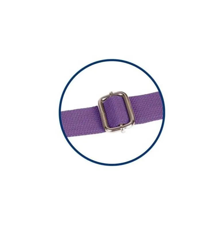 BOLSA ISOTERMICA OXFORD B-FOODIE RPET COLOR LAVANDA 220X250X160 MM