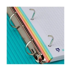 CARPETA ANILLAS OXFORD EUROPEANBINDER FOREST DIN A4+ CON RECAMBIO CUADRO 5MM