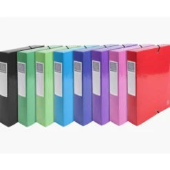 Carpeta de proyecto Exacompta gomas carton plastificado DIN A4 Colores Surtidos (No se puede elegir color)