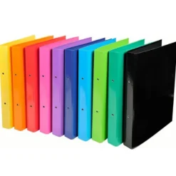 CARPETA EXACOMPTA IDERAMA 2 ANILLAS 30 MM DIN A4 CARTON FORRADO PVC COLORES SURTIDOS