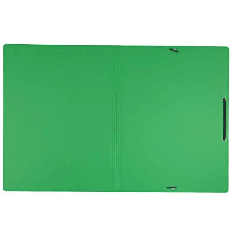CARPETA LEITZ RECYCLE GOMAS DIN A4 CARTON RECICLABLE 100% VERDE
