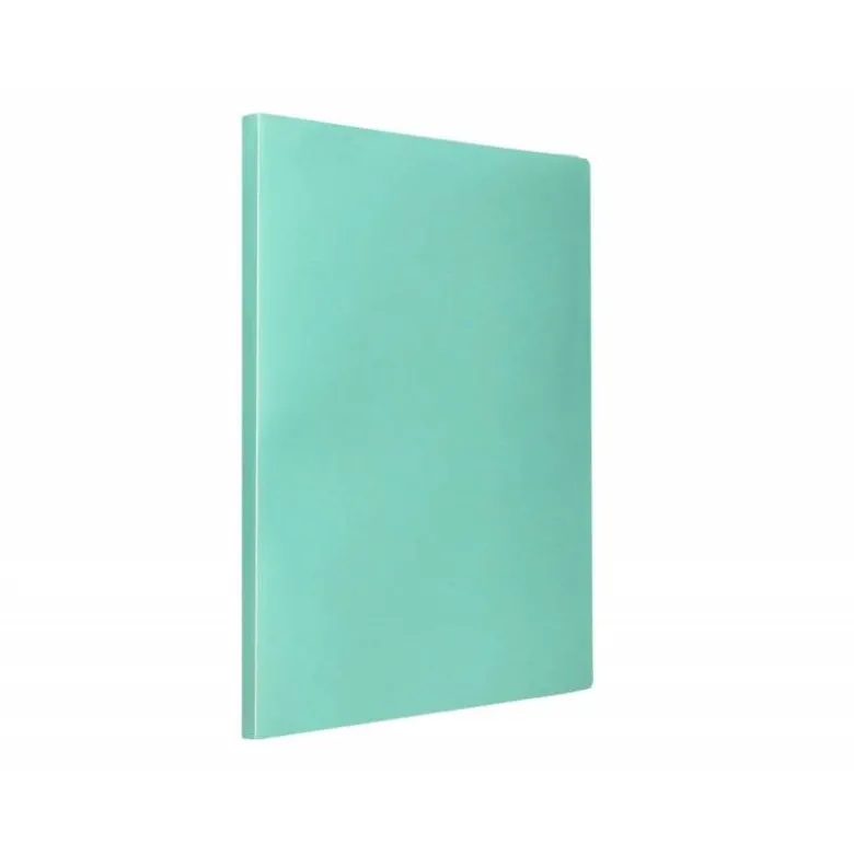 CARPETA LIDERPAPEL ESCAPARATE 60 FUNDAS POLIPROPILENO DIN A4 VERDE MANZANA OPACO