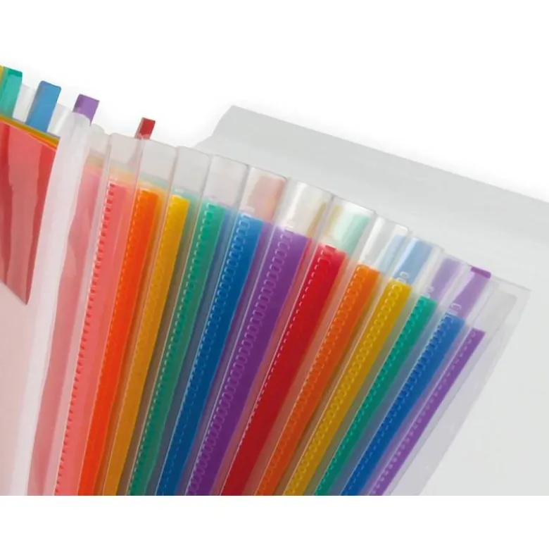 Carpeta Beautone clasificadora con fuelle polipropileno Din-A5 Spectrafile