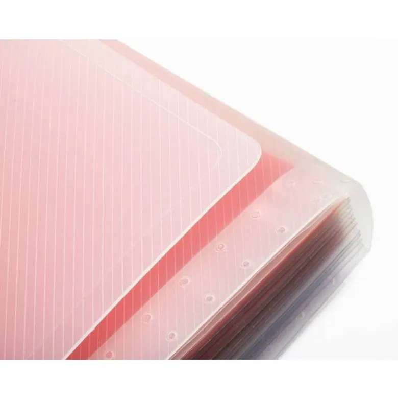 Carpeta Beautone clasificadora con fuelle polipropileno Din-A5 Spectrafile
