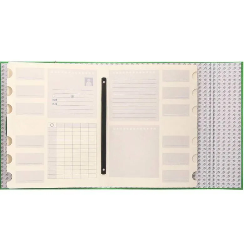 Carpeta clasificadora carton gomas Paper Coat Liderpapel verde