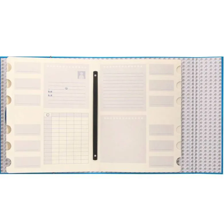 Carpeta clasificadora carton gomas Paper Coat Liderpapel celeste