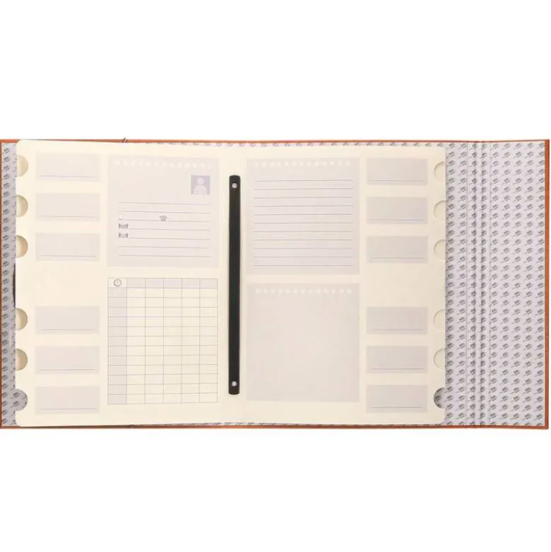 Carpeta clasificadora carton gomas Paper Coat Liderpapel naranja