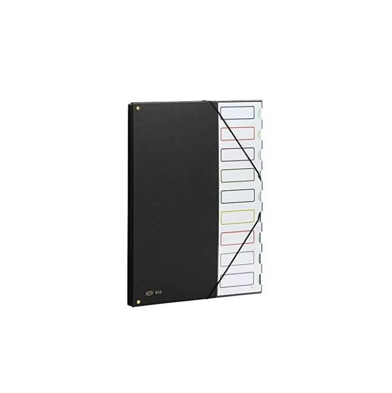 Carpeta clasificadora de plastico Pardo negro