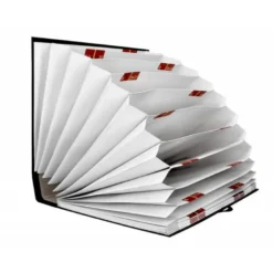 Carpeta clasificadora folio carton Liderpapel negro