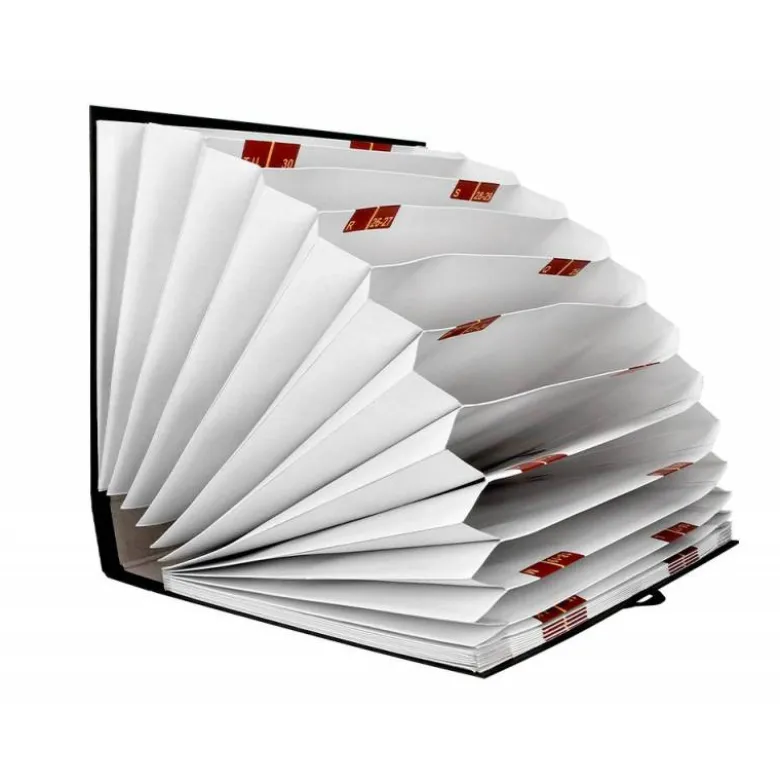 Carpeta clasificadora folio carton Liderpapel negro