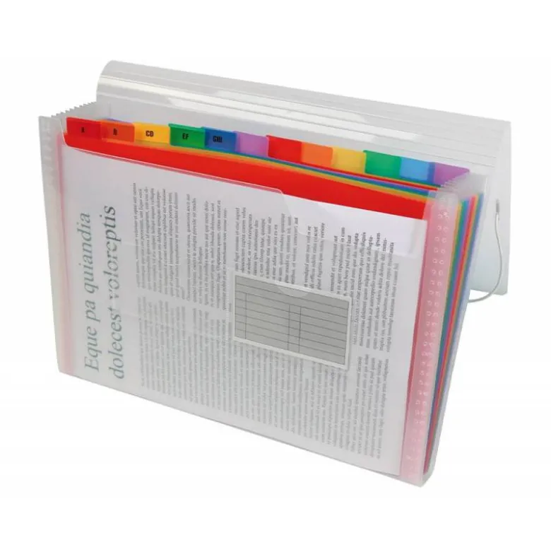 Carpeta clasificadora gomas polipropileno Beautone Din A4