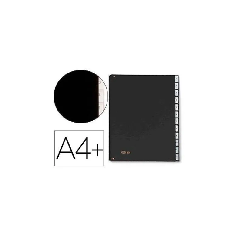 Carpeta Clasificadora Pardo DIN A4+ Carton Compacto con Fuelle 12 departamentos Negro
