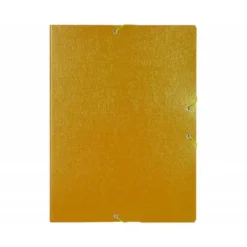 Carpeta de proyectos Liderpapel de carton gomas 5 cm