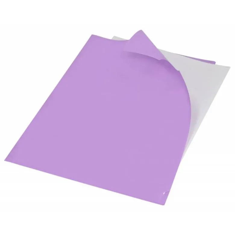 Carpeta dossier uñero Liderpapel DIN A4 polipropileno 180 micras 20 hojas color violeta