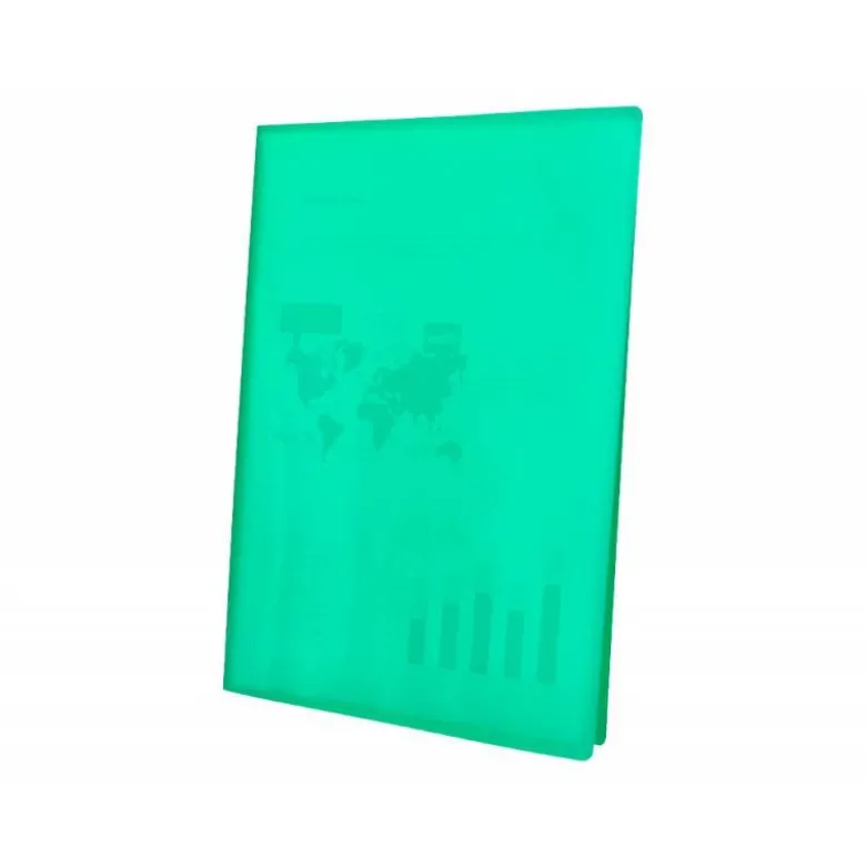 Carpeta escaparate Liderpapel DIN A4 poliporpileno con 40 fundas color verde