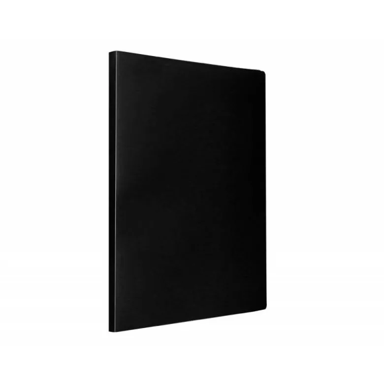 Carpeta escaparate Liderpapel folio con 40 fundas fijas