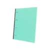 CARPETA LIDERPAPEL 4 ANILLAS REDONDAS 25 MM POLIPROPILENO DIN A4 ULTRA COMPACTA CON LOMO EXTENSIBLE 4 CM VERDE