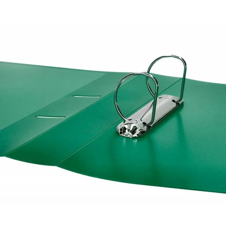 CARPETA LIDERPAPEL CANGURO 2 ANILLAS 40 MM MIXTAS POLIPROPILENO DIN A4 VERDE