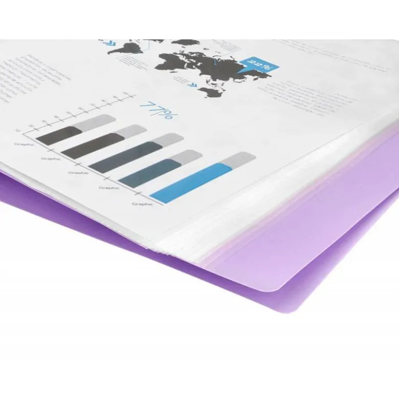 CARPETA LIDERPAPEL ESCAPARATE 60 FUNDAS POLIPROPILENO DIN A4 LAVANDA OPACO