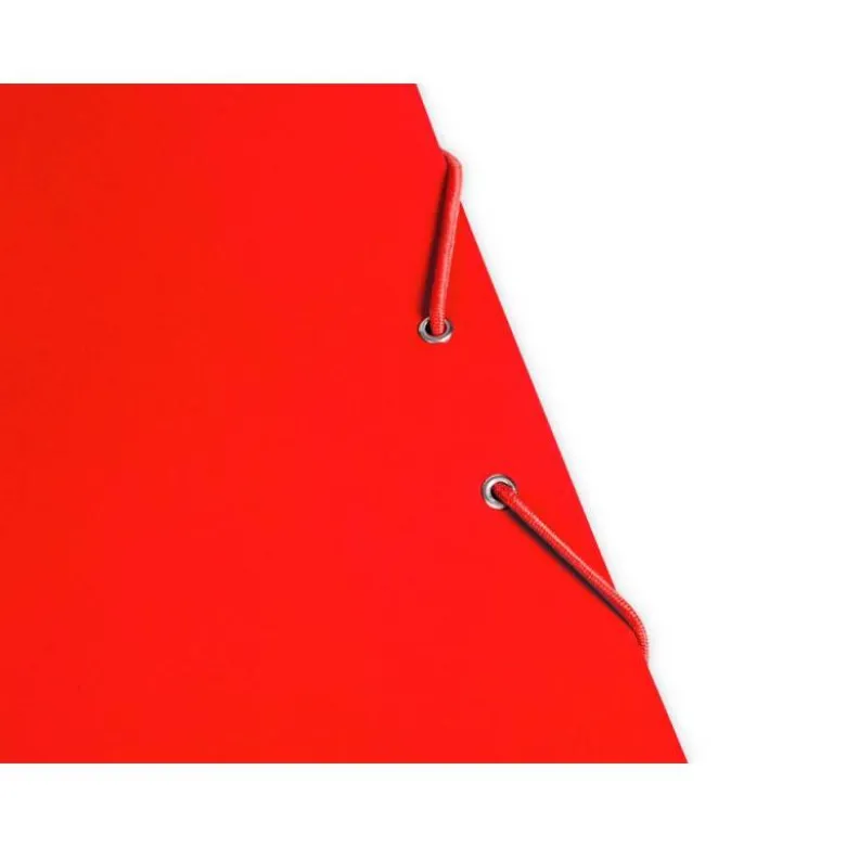 CARPETA LIDERPAPEL GOMAS DIN A3 3 SOLAPAS CARTON PLASTIFICADO 800 GR COLORES SURTIDOS