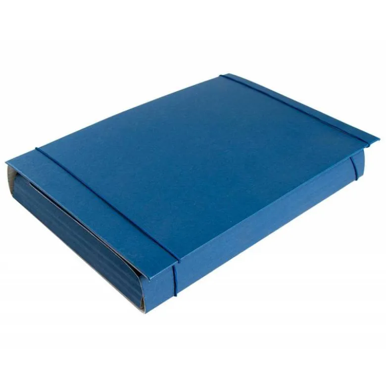 Carpeta proyectos Liderpapel expansible gofrada folio