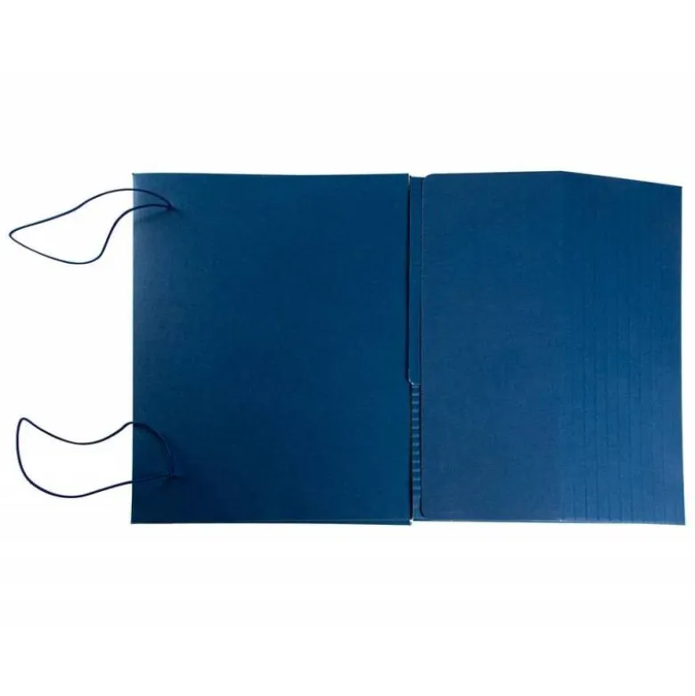 Carpeta proyectos Liderpapel expansible gofrada folio