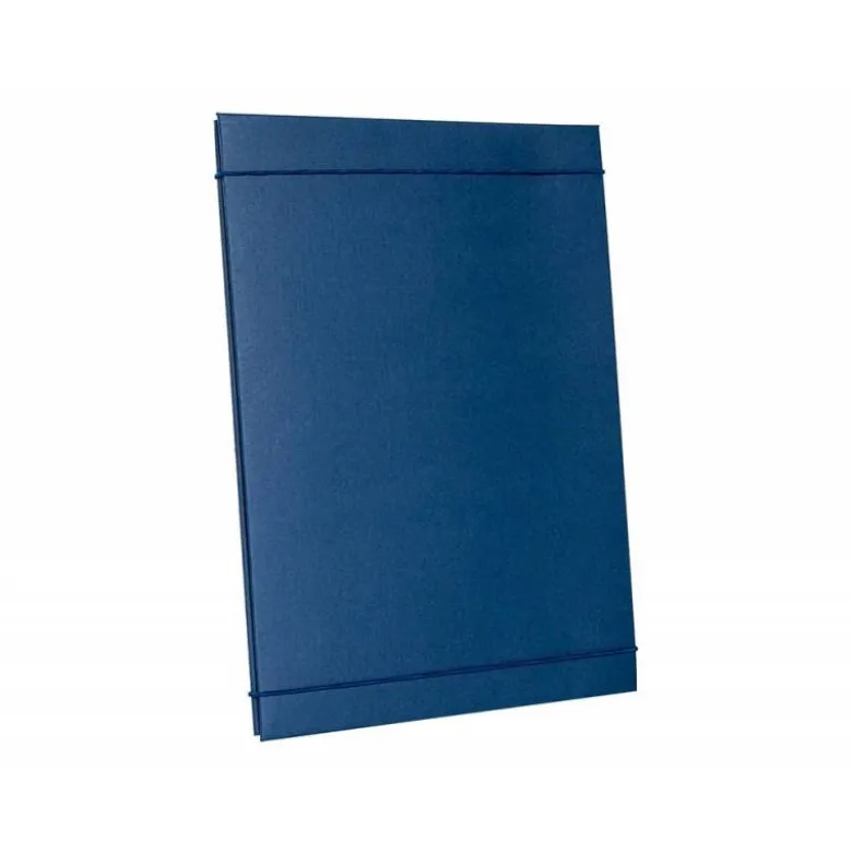 Carpeta proyectos Liderpapel expansible gofrada folio
