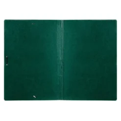 Carpetas de gomas carton Liderpapel Din A3 verde