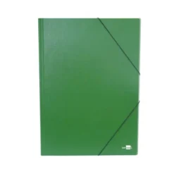 Carpetas de gomas carton Liderpapel Din A3 verde
