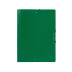Carpetas de gomas carton Liderpapel Din A3 verde