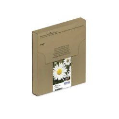 CARTUCHO INK-JET EPSON 18 COLOR NEGRO C13T18014012