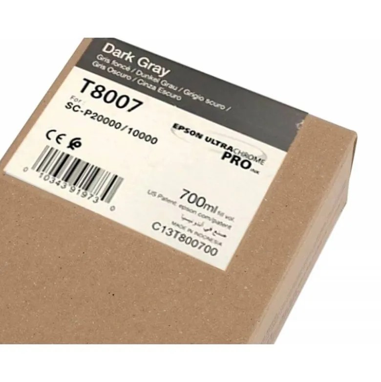 CARTUCHO INK-JET EPSON T8007 COLOR GRIS C13T800700
