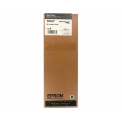 CARTUCHO INK-JET EPSON T8007 COLOR GRIS C13T800700