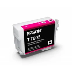 CARTUCHO INK-JET EPSON T76203 COLOR MAGENTA C13T76034010