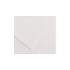 Cartulina Guarro blanca 500 x 650 mm 180 g/m2