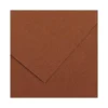 Cartulina Guarro marron chocolate