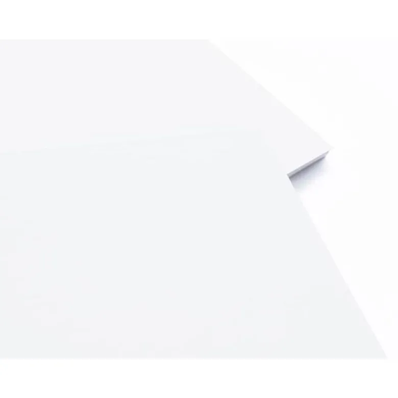 CARTULINA LIDERPAPEL A3 180G/M2 BLANCO PAQUETE DE 25+5 HOJAS EN CARPETA DOSSIER TRANSPARENTE CON CIERRE