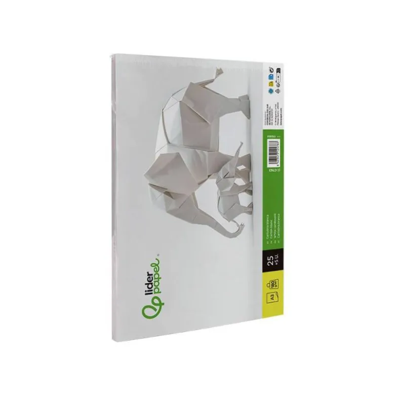 CARTULINA LIDERPAPEL A3 180G/M2 BLANCO PAQUETE DE 25+5 HOJAS EN CARPETA DOSSIER TRANSPARENTE CON CIERRE