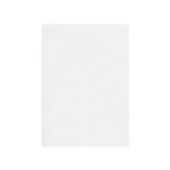 CARTULINA LIDERPAPEL A3 180G/M2 BLANCO PAQUETE DE 25+5 HOJAS EN CARPETA DOSSIER TRANSPARENTE CON CIERRE